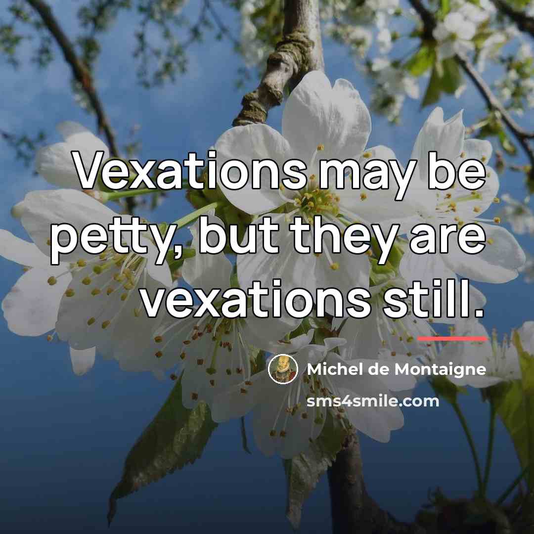 “Vexations may be petty, but they are vexations still.…” quote by Michel de Montaigne