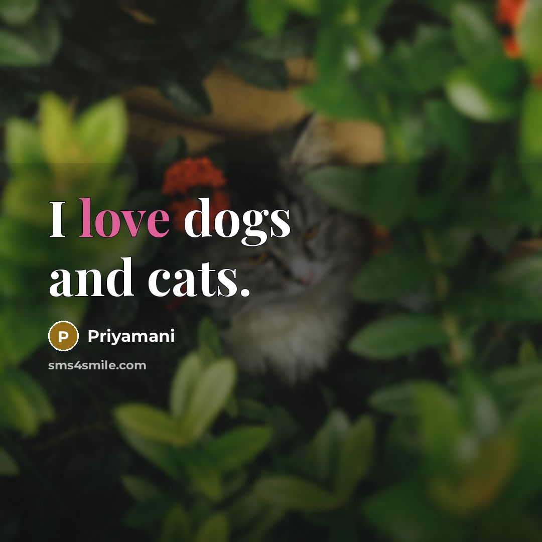“I love dogs and cats.…” quote by Priyamani