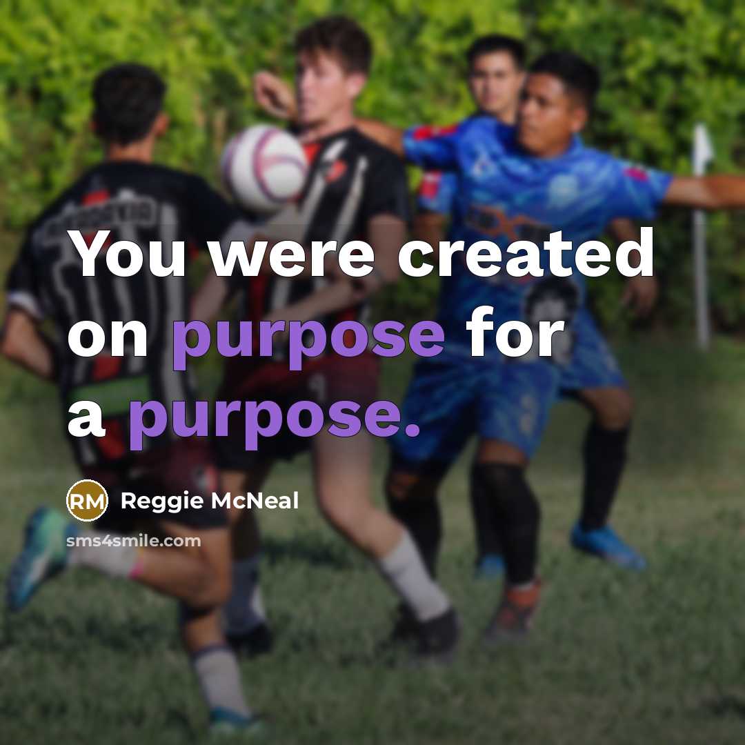 “You were created on purpose for a purpose.…” quote by Reggie McNeal