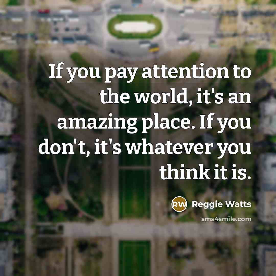 “If you pay attention to the world, it's an amazing…” quote by Reggie Watts