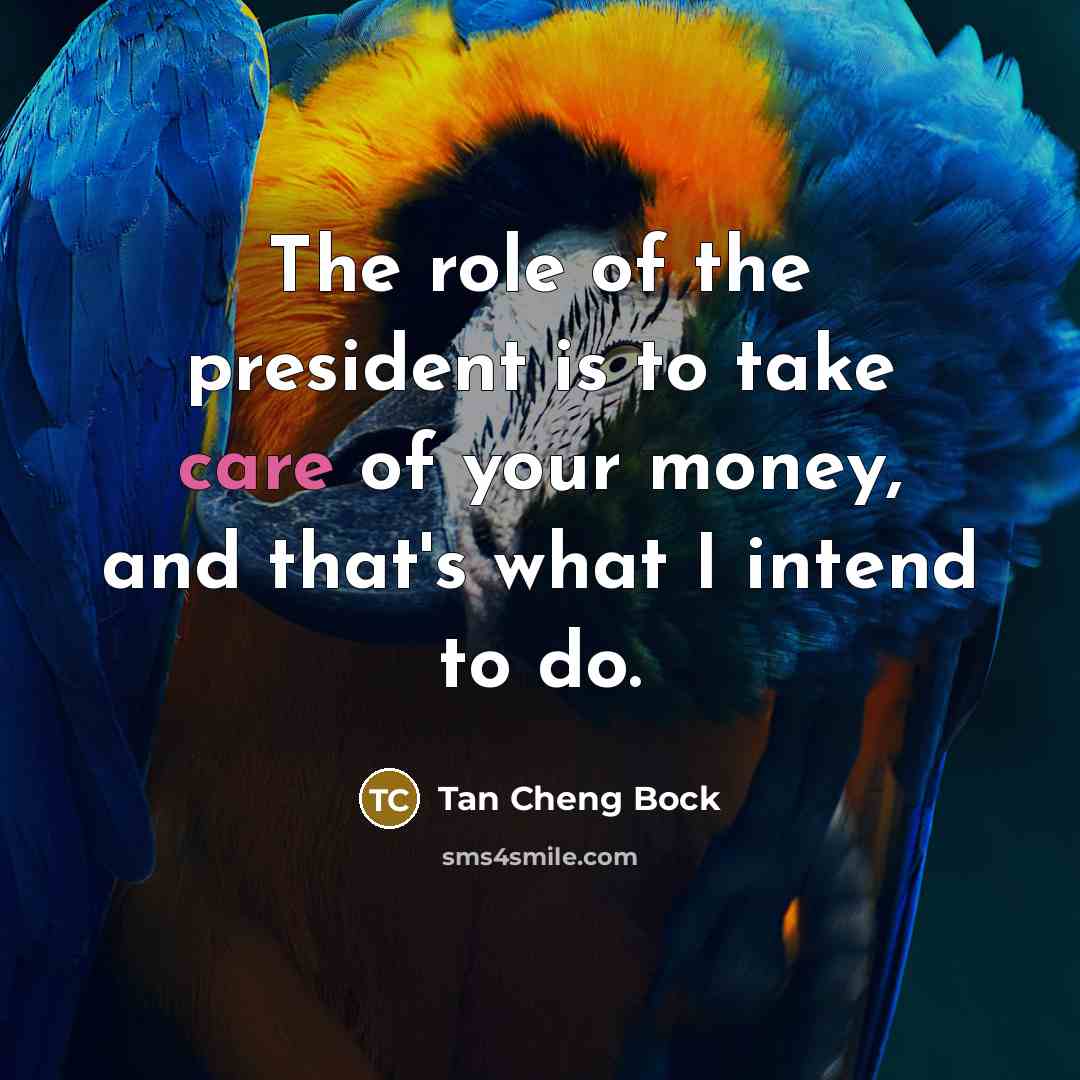 “The role of the president is to take care of…” quote by Tan Cheng Bock