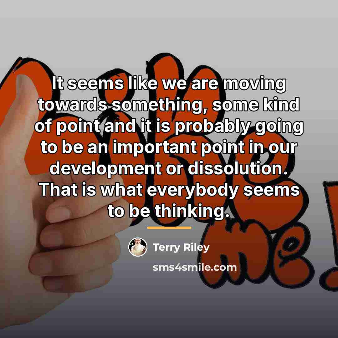 “It seems like we are moving towards something, some kind…” quote by Terry Riley