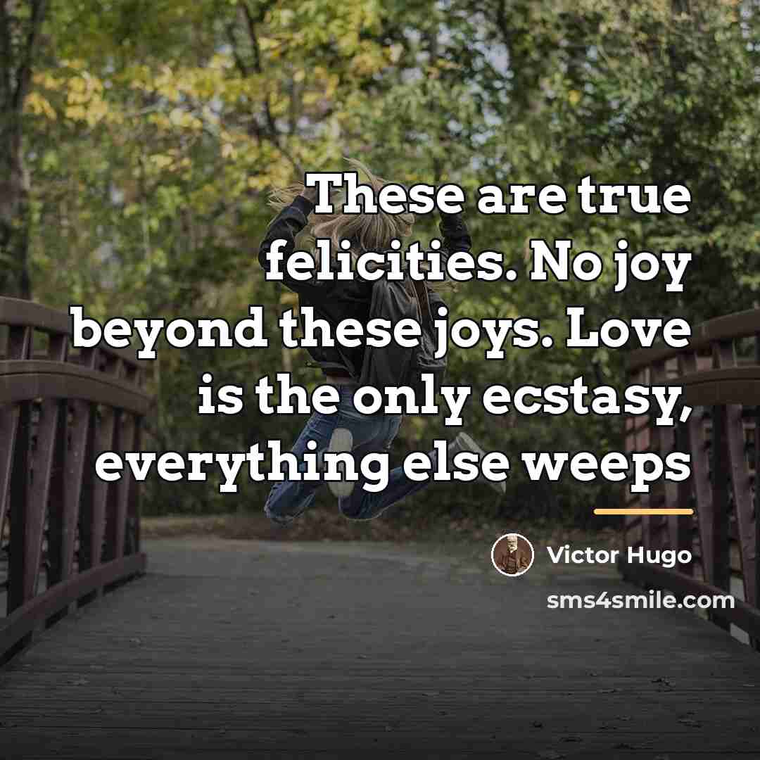 “These are true felicities. No joy beyond these joys. Love…” quote by Victor Hugo