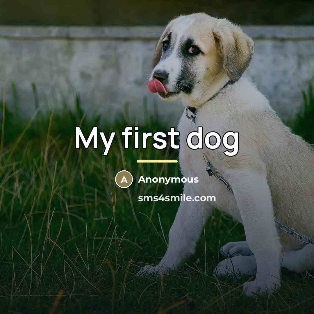 “My first dog” quote by Anonymous