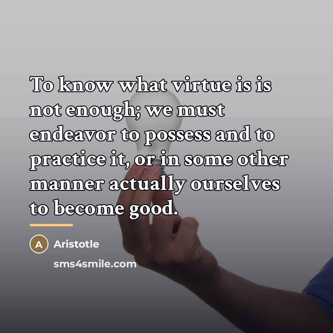 “To know what virtue is is not enough; we must…” quote by Aristotle
