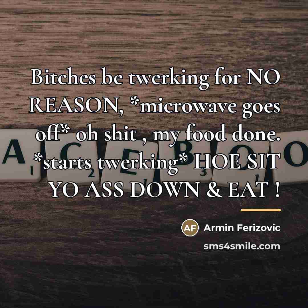 “Bitches be twerking for NO REASON, *microwave goes off* oh…” quote by Armin Ferizovic
