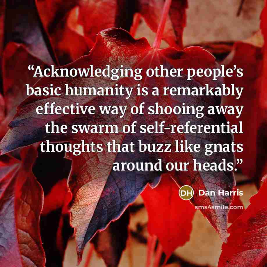 “Acknowledging other people’s basic humanity is a remarkably effective way of shooing away the swarm of self-referential thoughts that buzz like gnats around our heads.” quote by Dan Harris