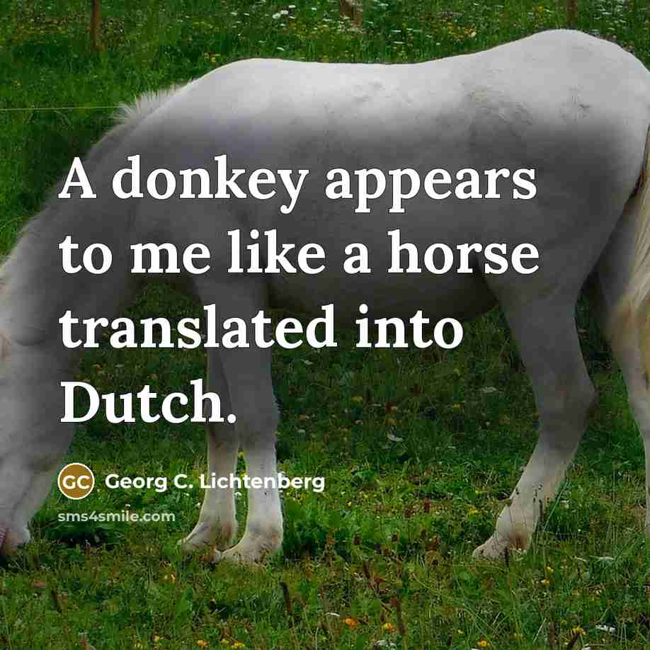 “A donkey appears to me like a horse translated into…” quote by Georg C. Lichtenberg