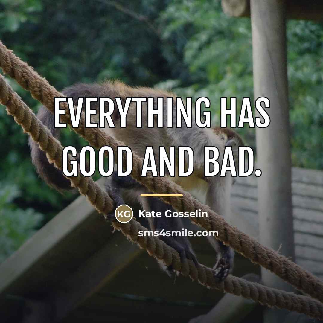 “Everything has good and bad.…” quote by Kate Gosselin