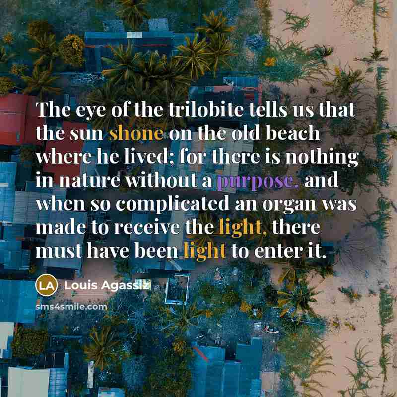 “The eye of the trilobite tells us that the sun…” quote by Louis Agassiz