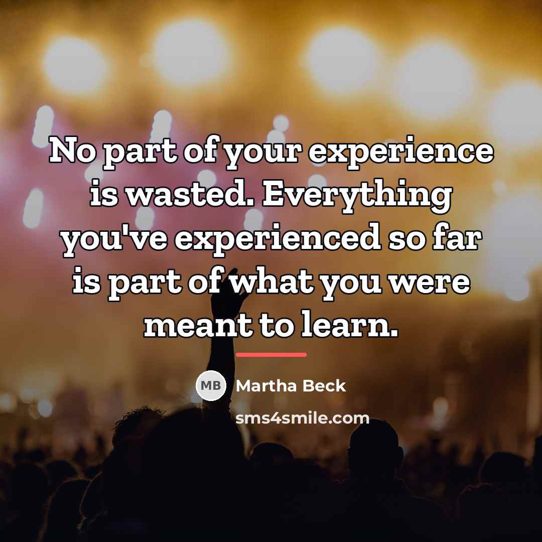 “No part of your experience is wasted. Everything you've experienced…” quote by Martha Beck