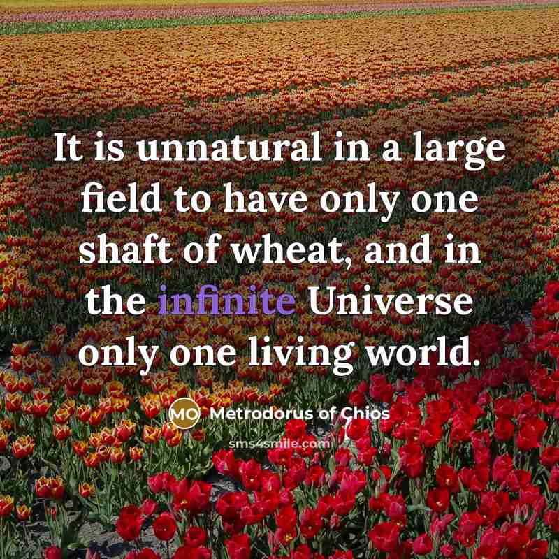 “It is unnatural in a large field to have only…” quote by Metrodorus of Chios