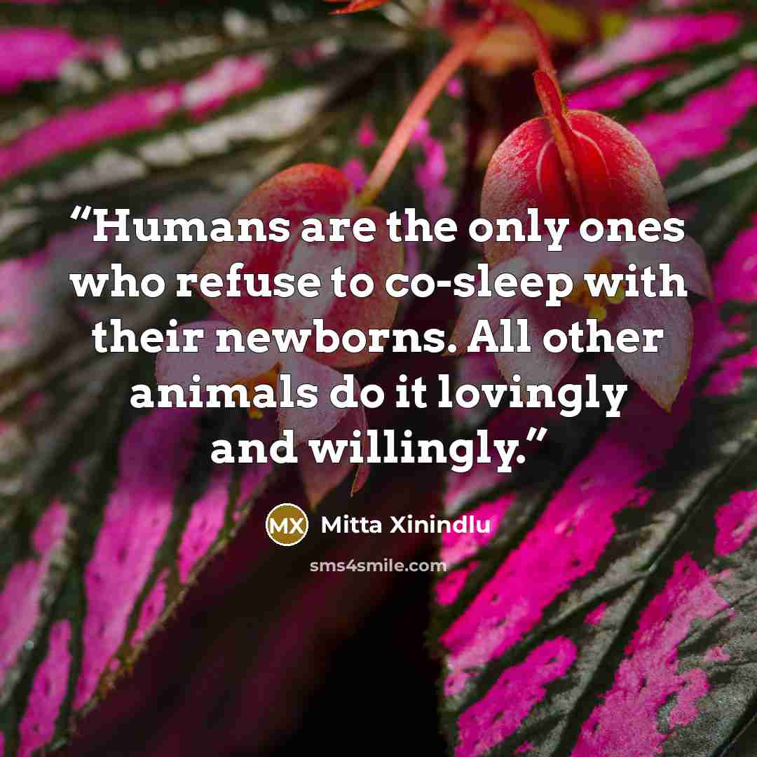 “Humans are the only ones who refuse to co-sleep with their newborns. All other animals do it lovingly and willingly.” quote by Mitta Xinindlu