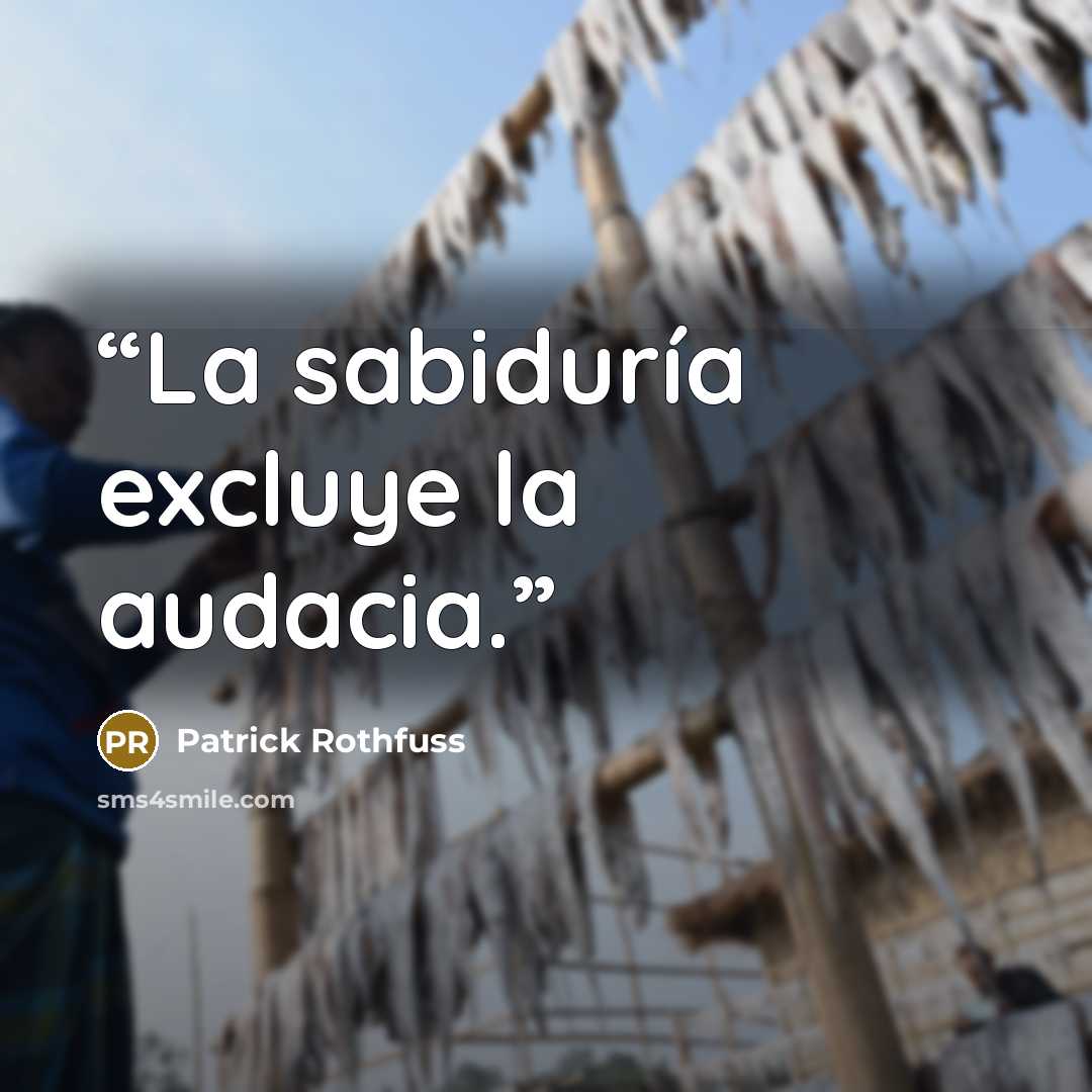 “La sabiduría excluye la audacia.” quote by Patrick Rothfuss