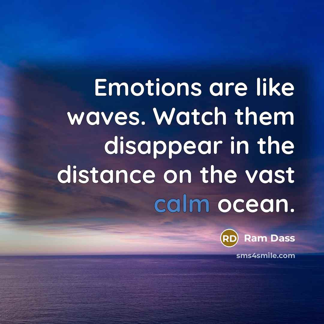 “Emotions are like waves. Watch them disappear in the distance…” quote by Ram Dass