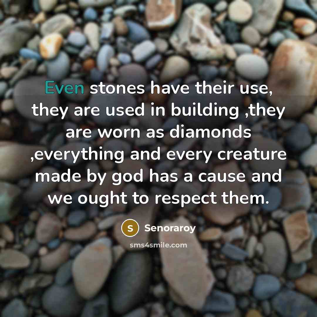“Even stones have their use, they are used in building…” quote by Senoraroy