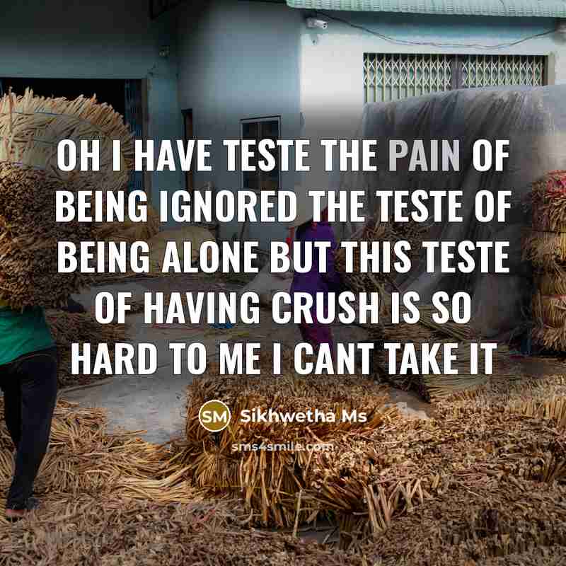 “Oh I have teste the pain of being ignored the…” quote by Sikhwetha Ms