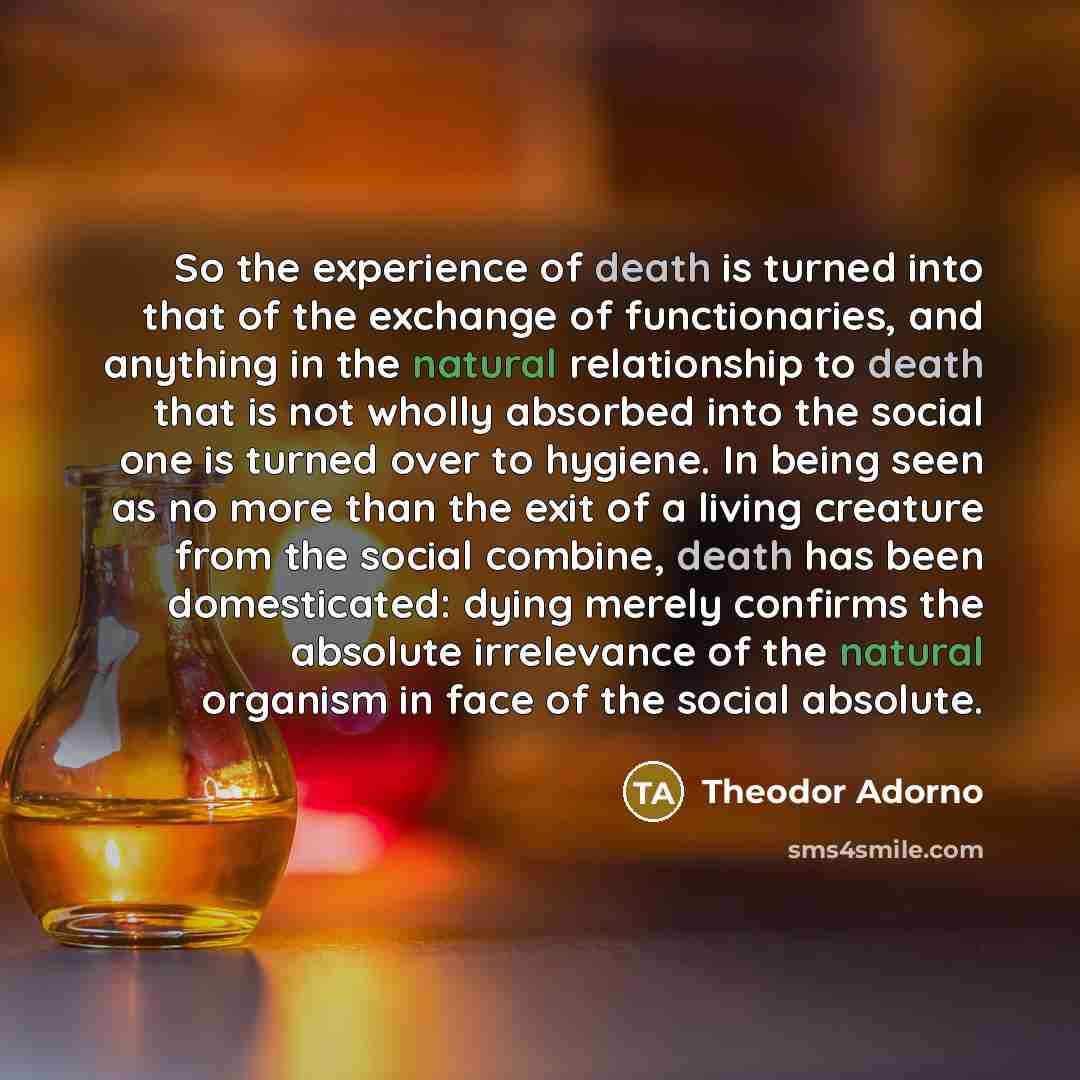 “So the experience of death is turned into that of…” quote by Theodor Adorno