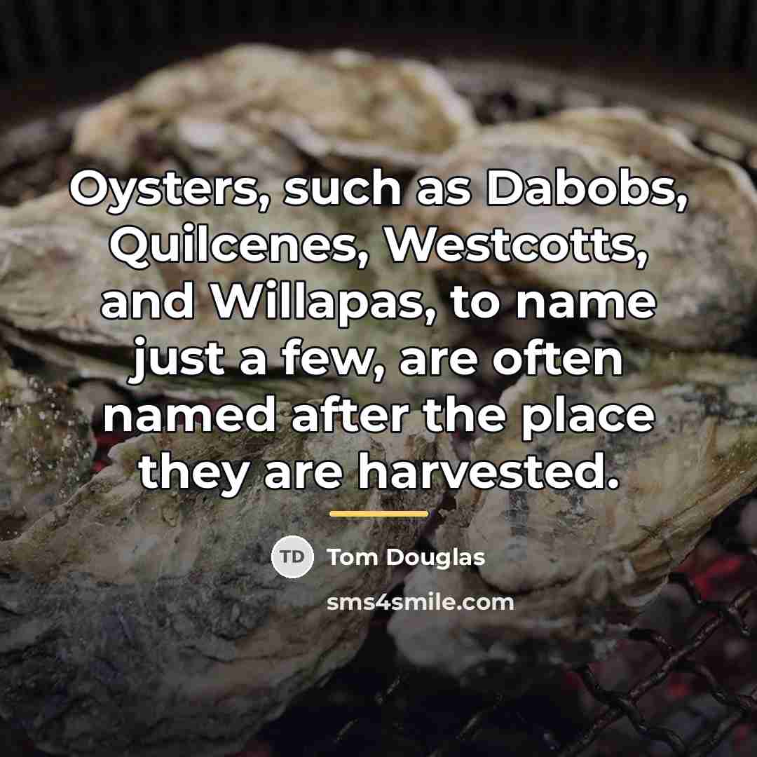 “Oysters, such as Dabobs, Quilcenes, Westcotts, and Willapas, to name…” quote by Tom Douglas