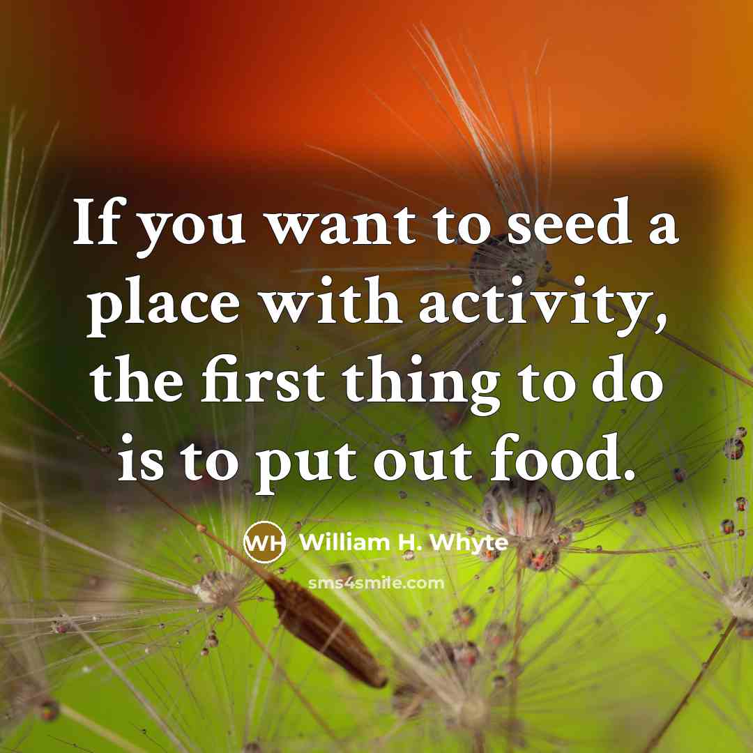 “If you want to seed a place with activity, the…” quote by William H. Whyte