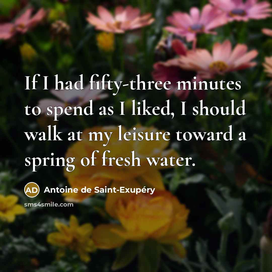 “If I had fifty-three minutes to spend as I liked,…” quote by Antoine de Saint-Exupery