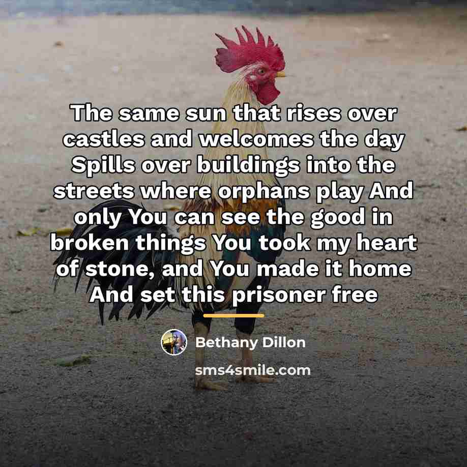 “The same sun that rises over castles and welcomes the…” quote by Bethany Dillon