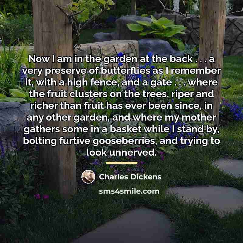 “Now I am in the garden at the back .…” quote by Charles Dickens