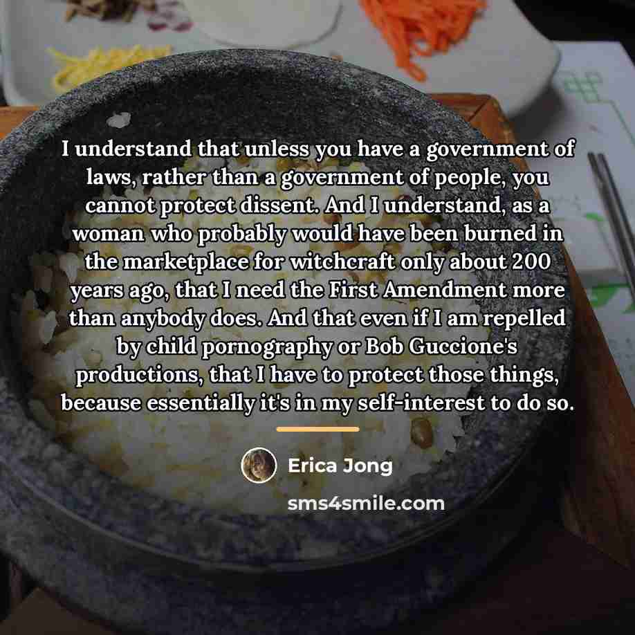 “I understand that unless you have a government of laws,…” quote by Erica Jong