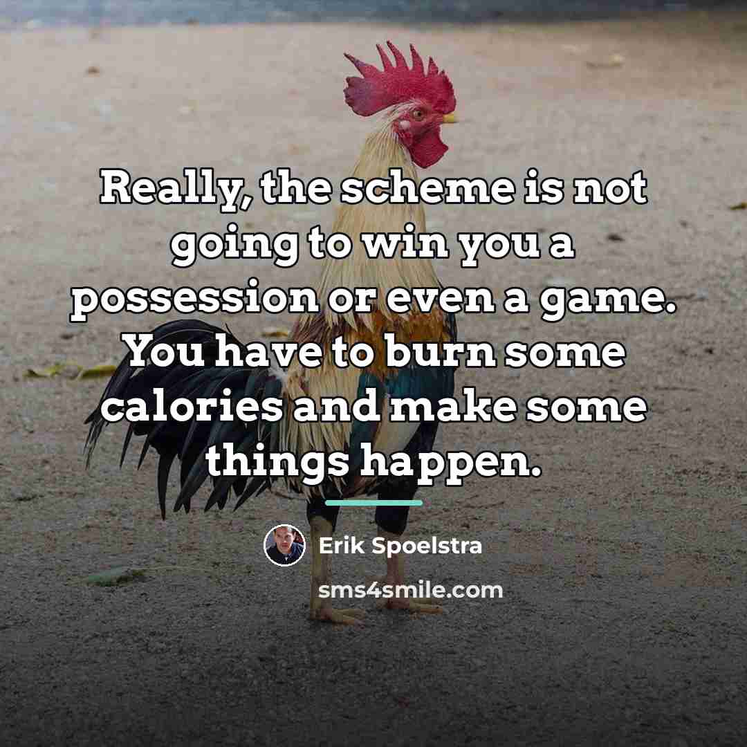 “Really, the scheme is not going to win you a…” quote by Erik Spoelstra