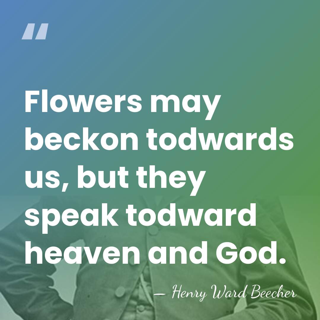 Flowers may beckon todwards us, but they speak todward heaven and God. - Henry Ward Beecher