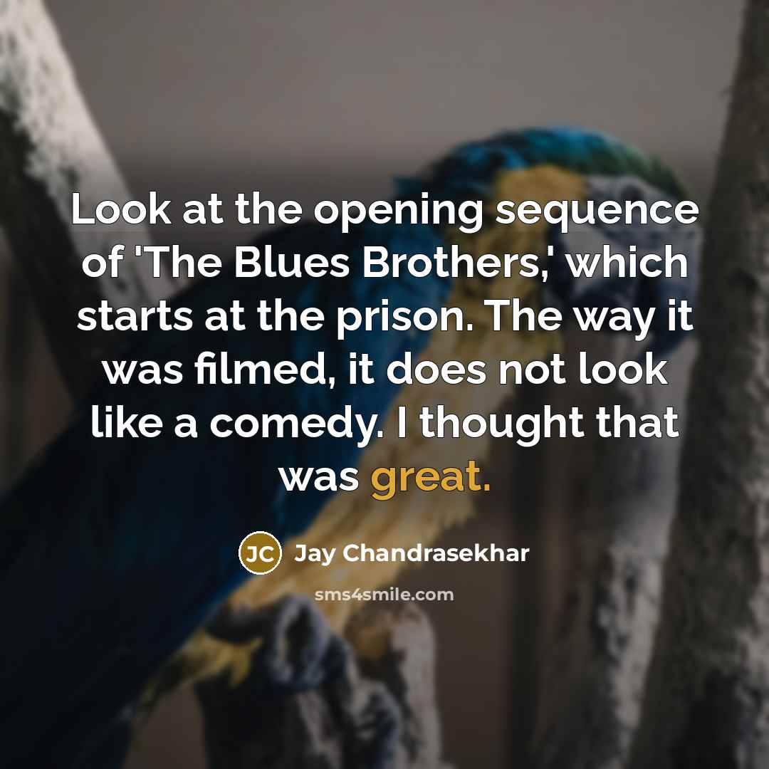 “Look at the opening sequence of 'The Blues Brothers,' which…” quote by Jay Chandrasekhar