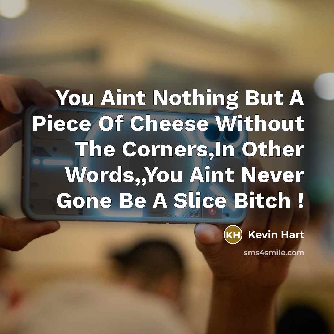 “You Aint Nothing But A Piece Of Cheese Without The…” quote by Kevin Hart