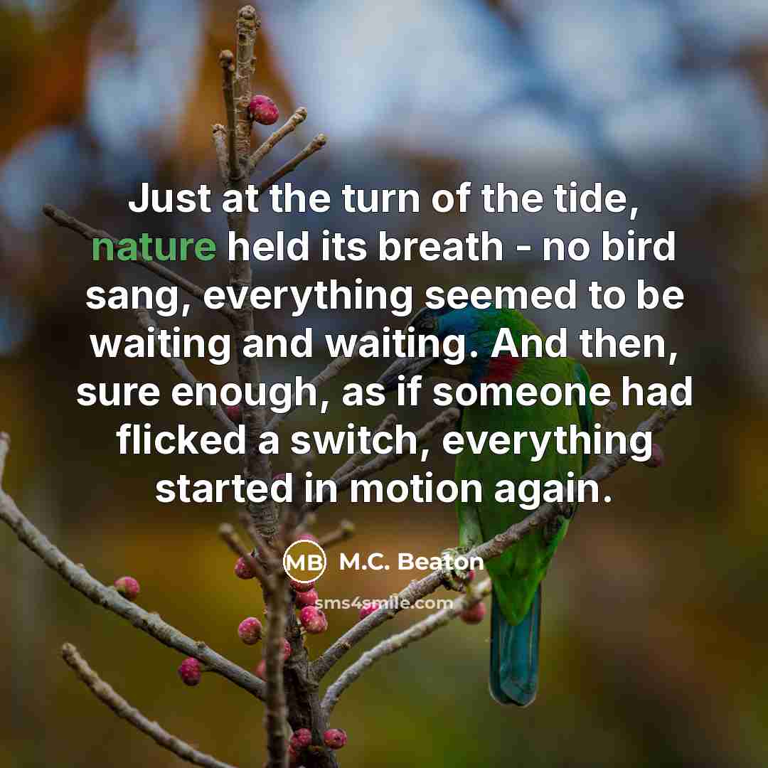 “Just at the turn of the tide, nature held its…” quote by M.C. Beaton