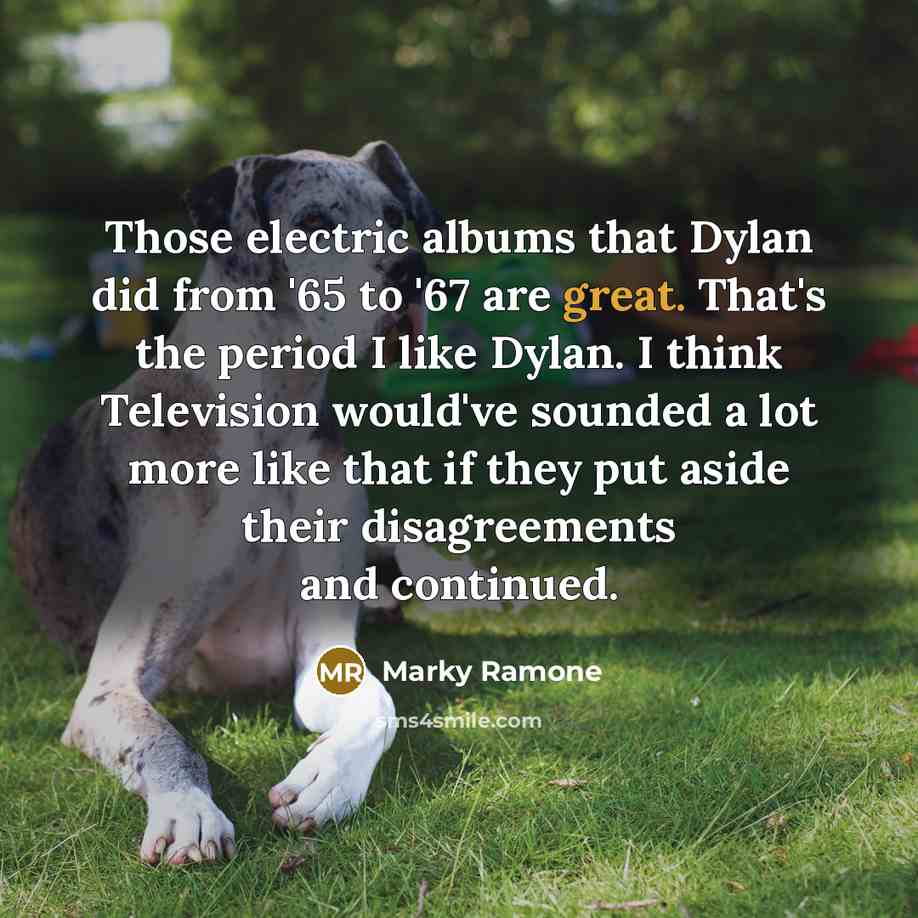 “Those electric albums that Dylan did from '65 to '67…” quote by Marky Ramone