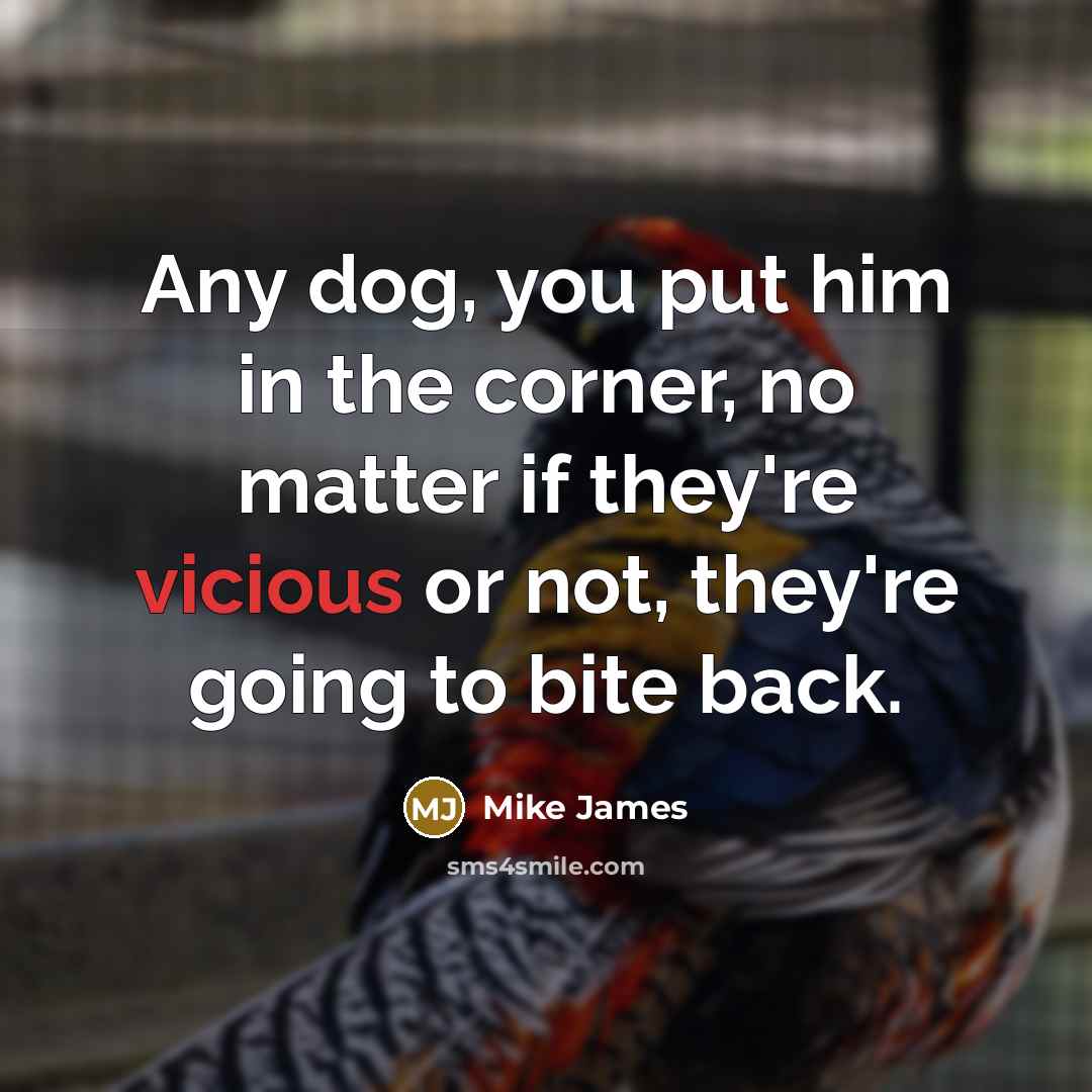 “Any dog, you put him in the corner, no matter if they're vicious or not, they're going to bite back.” quote by Mike James