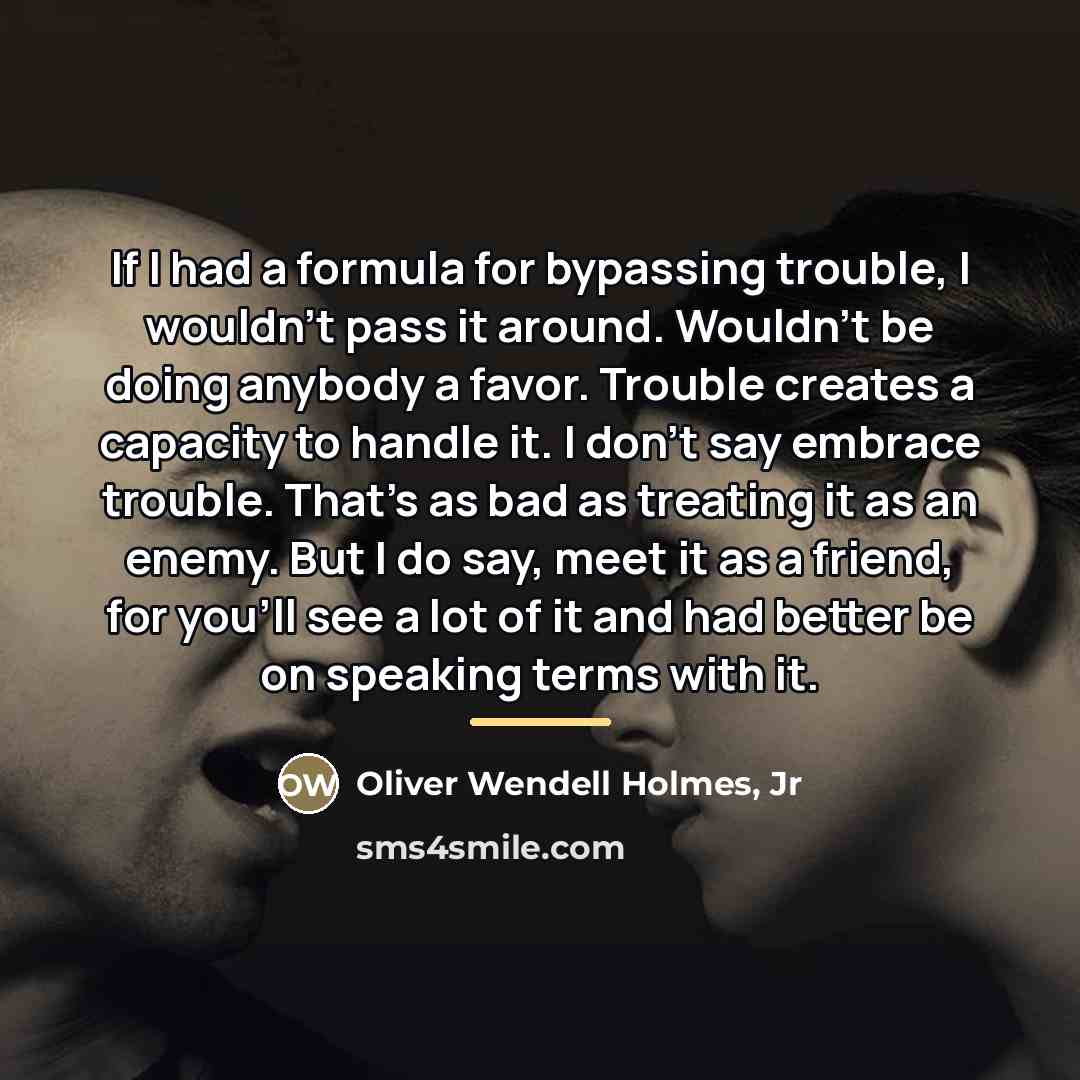 “If I had a formula for bypassing trouble, I wouldn't…” quote by Oliver Wendell Holmes, Jr