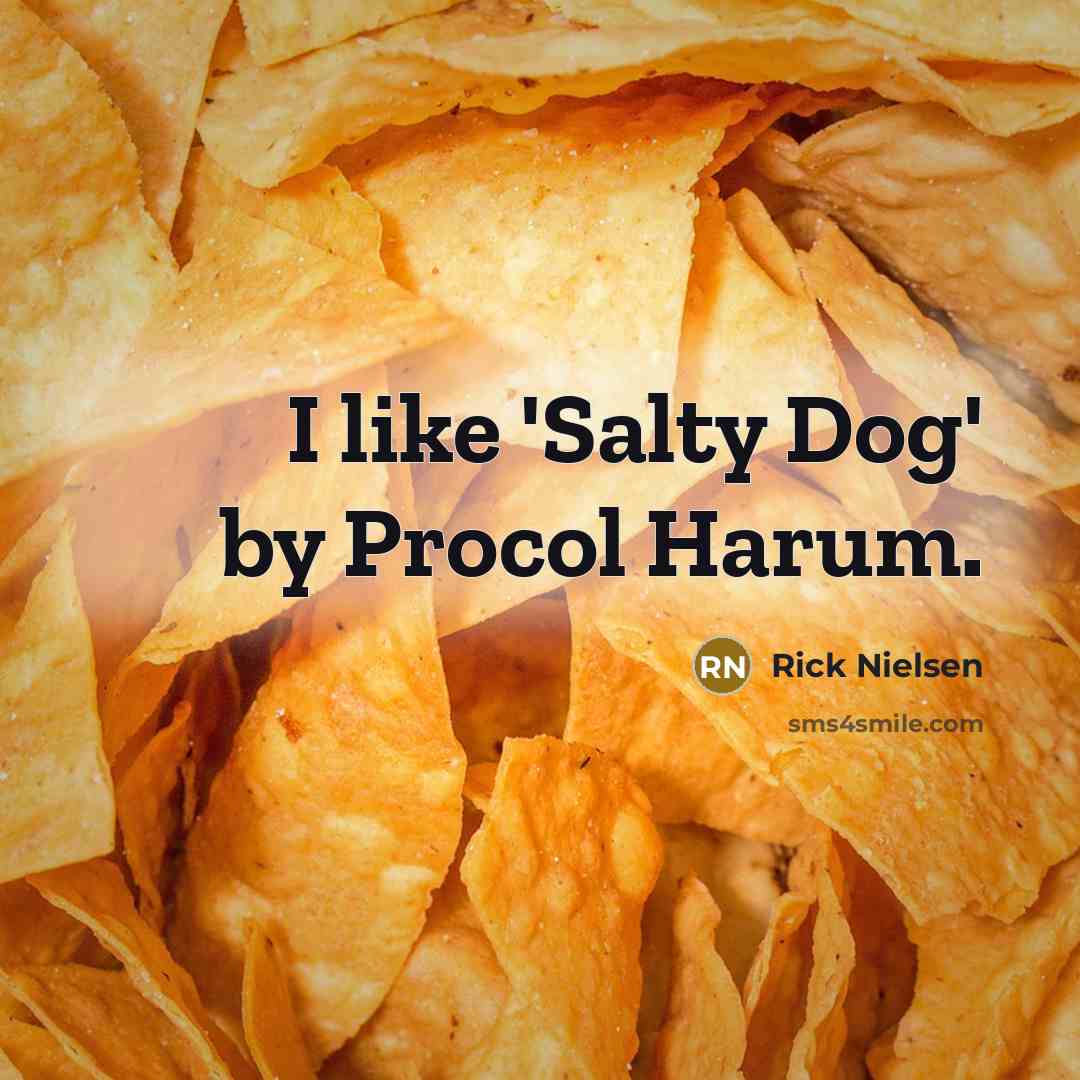 “I like 'Salty Dog' by Procol Harum.…” quote by Rick Nielsen