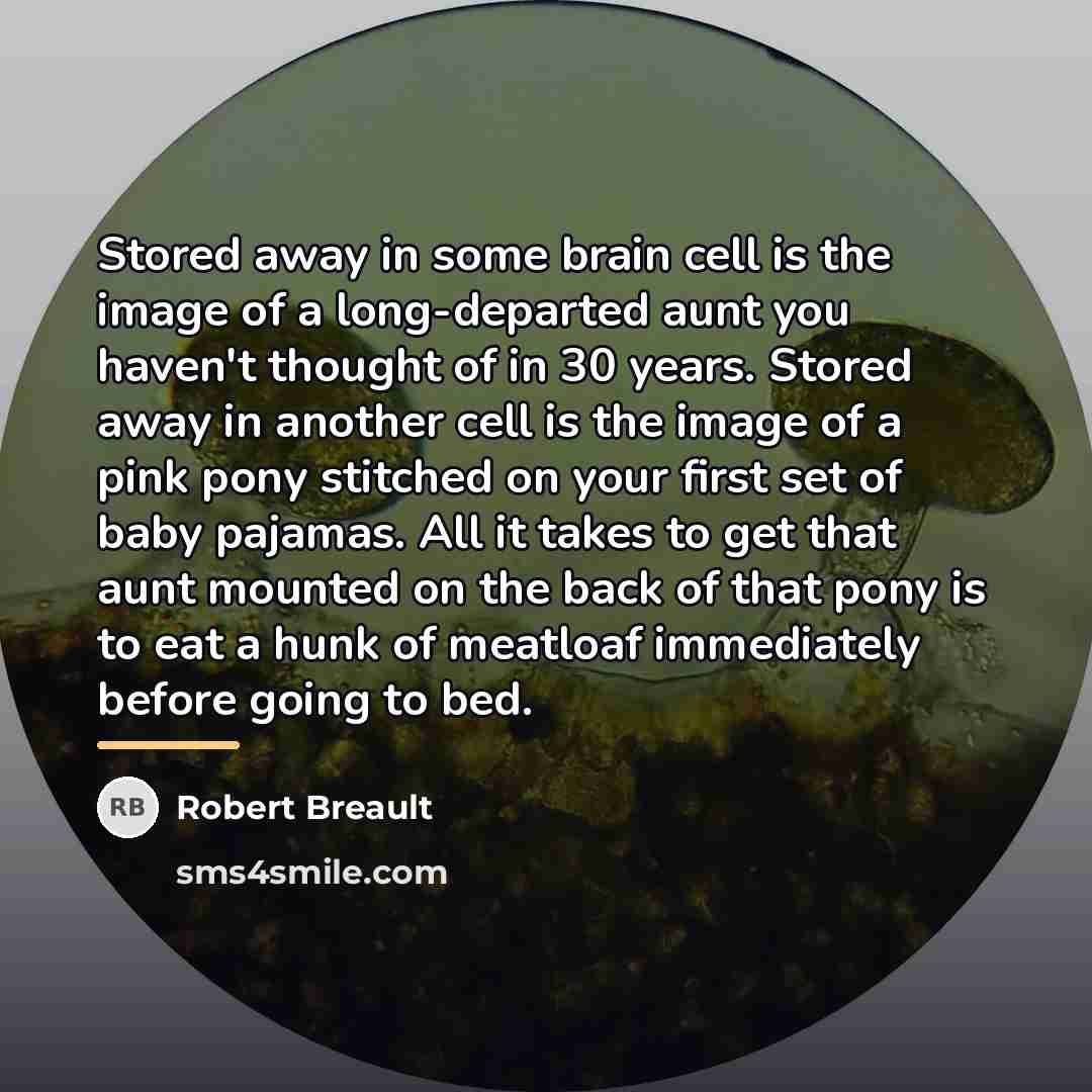 “Stored away in some brain cell is the image of…” quote by Robert Breault