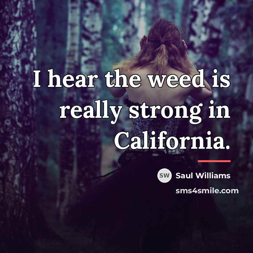 “I hear the weed is really strong in California.…” quote by Saul Williams
