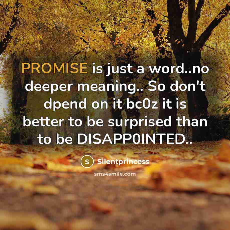 “PROMISE is just a word..no deeper meaning.. So don't dpend…” quote by Silentprincess
