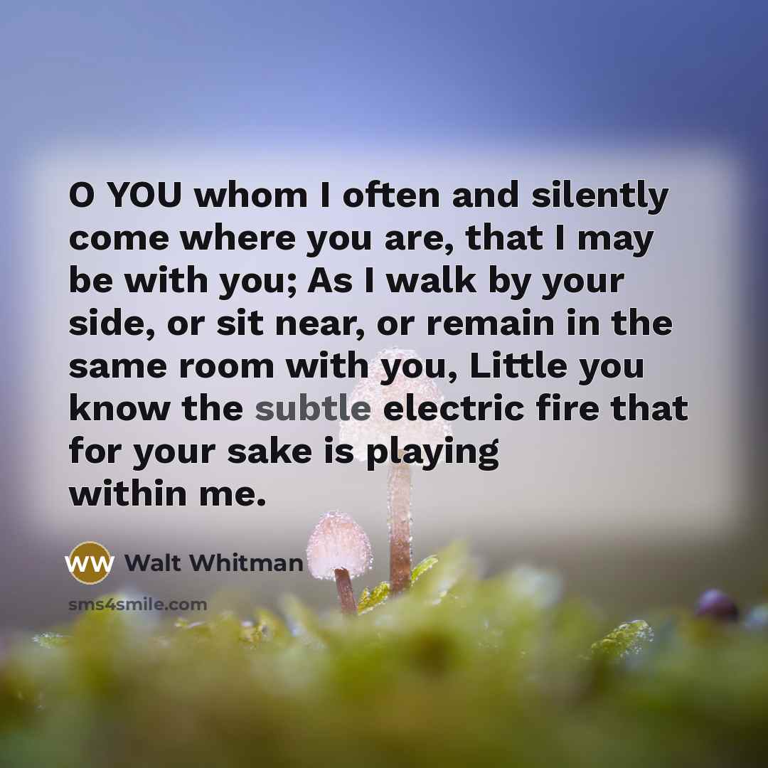 “O YOU whom I often and silently come where you…” quote by Walt Whitman