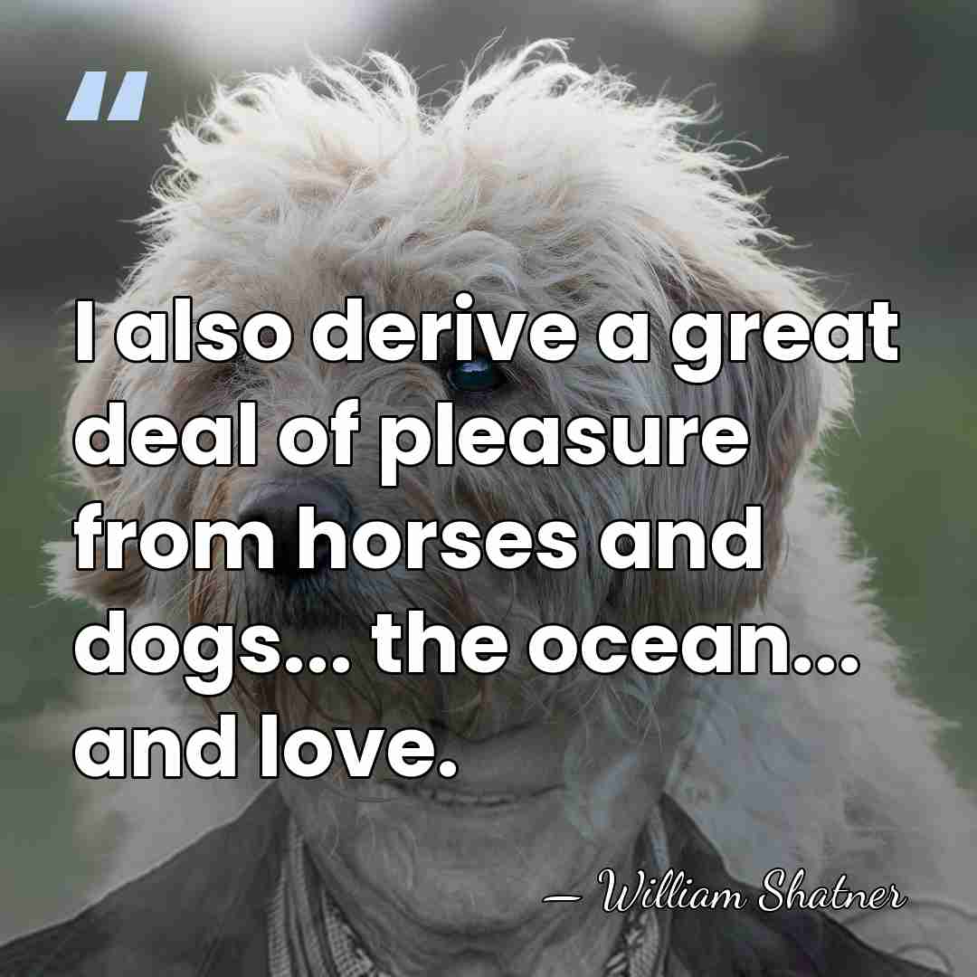 I also derive a great deal of pleasure from horses and dogs...&hellip; - William Shatner