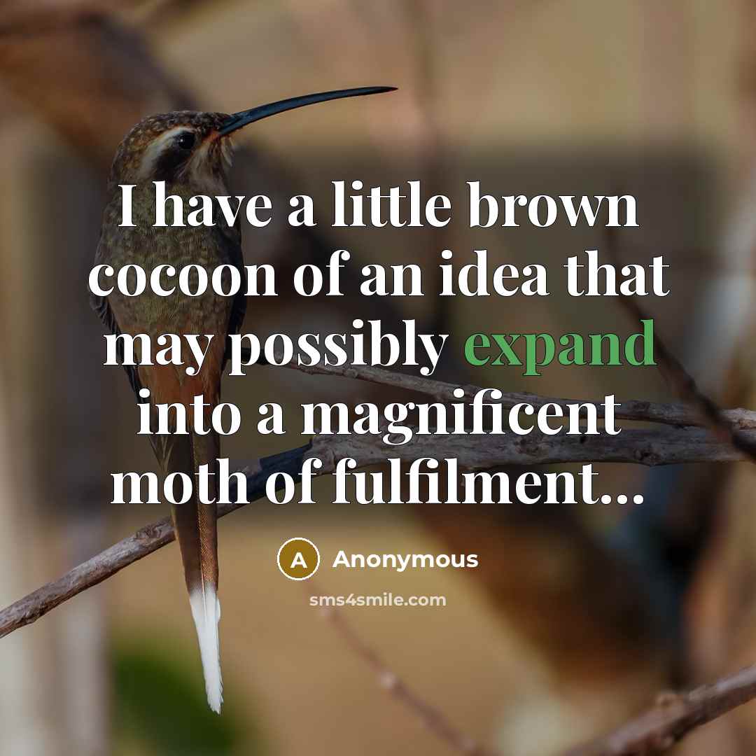 “I have a little brown cocoon of an idea that…” quote by Anonymous