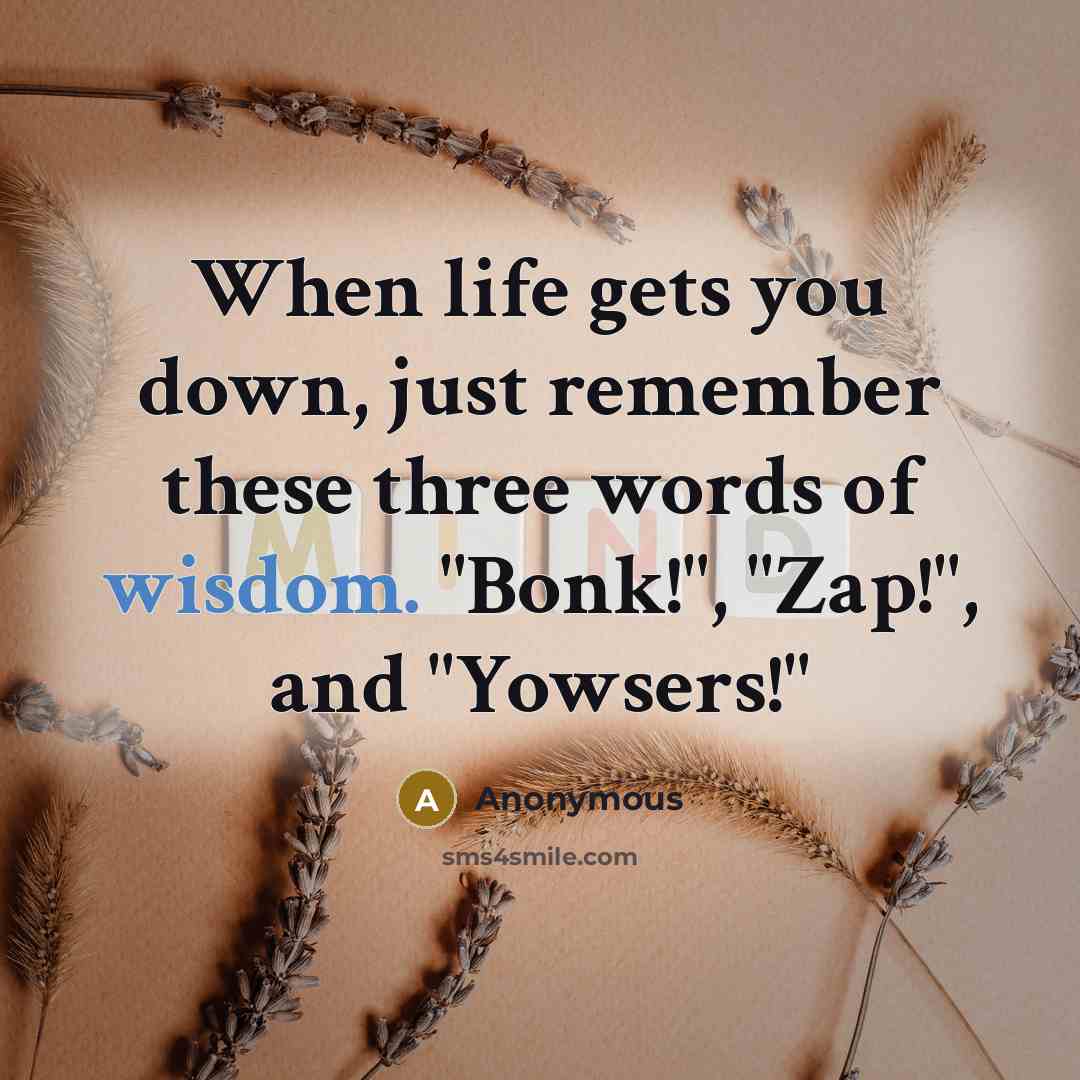 “When life gets you down, just remember these three words of wisdom. "Bonk!", "Zap!", and "Yowsers!"” quote by Anonymous