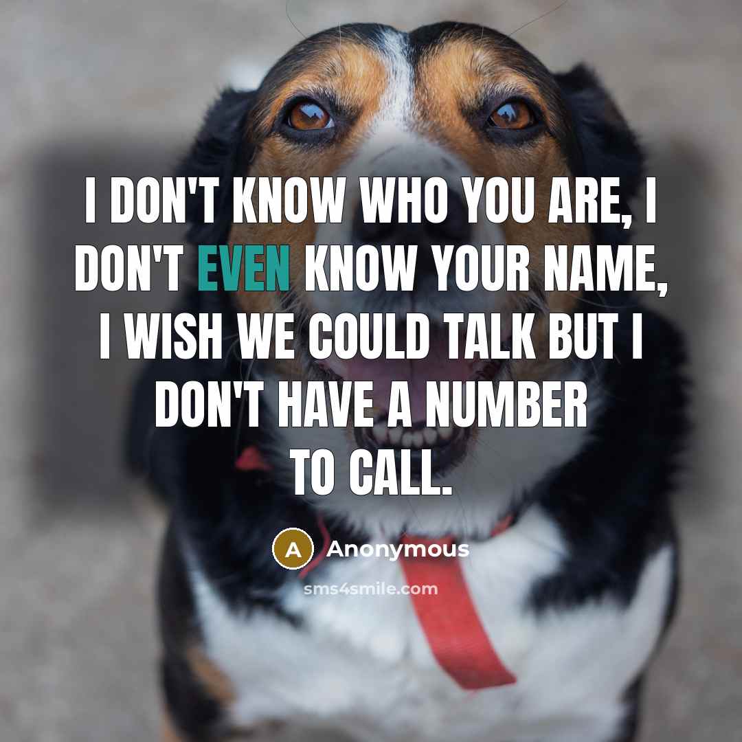“I don't know who you are, I don't even know your name, I wish we could talk but I don't have a number to call.” quote by Anonymous