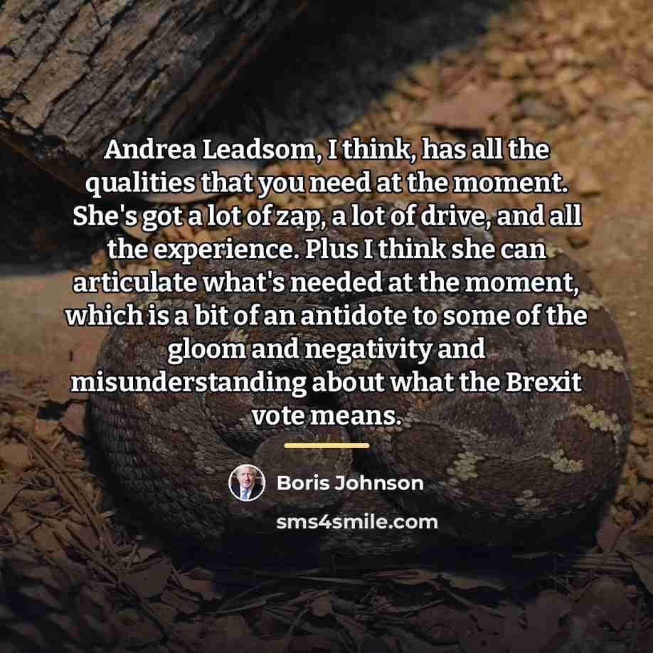 “Andrea Leadsom, I think, has all the qualities that you…” quote by Boris Johnson