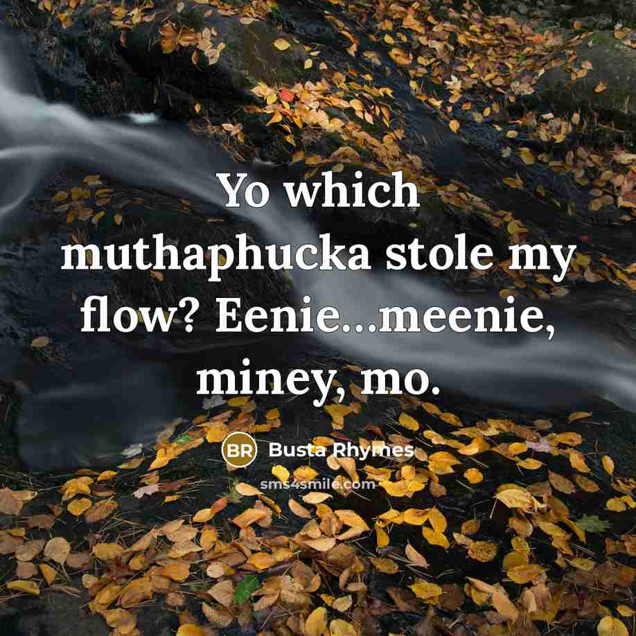 “Yo which muthaphucka stole my flow? Eenie…meenie, miney, mo.” quote by Busta Rhymes