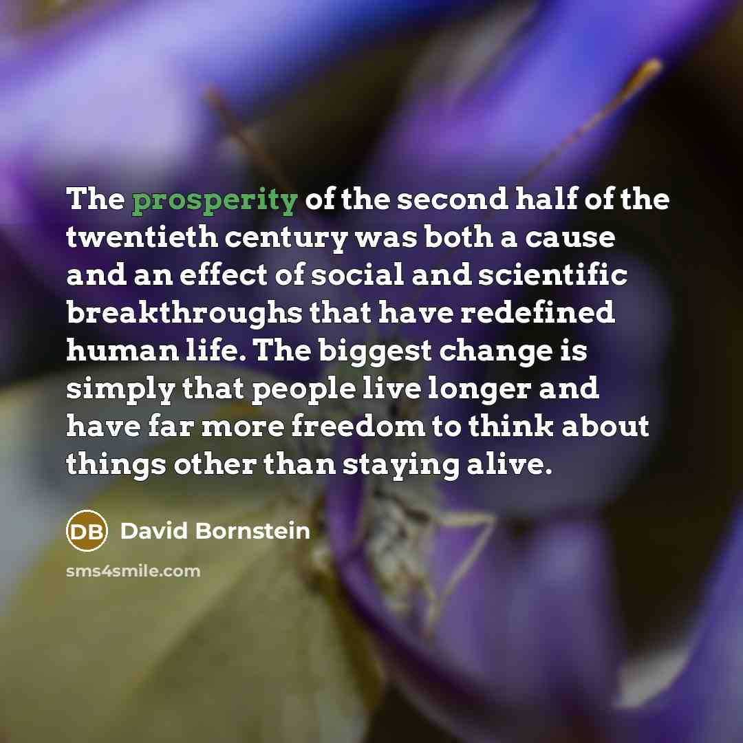 “The prosperity of the second half of the twentieth century…” quote by David Bornstein