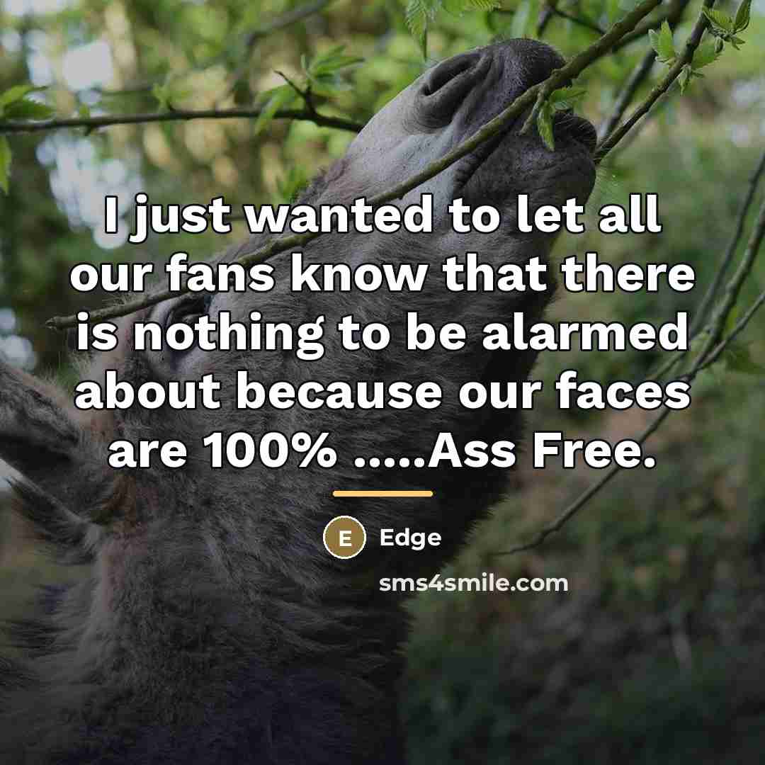 “I just wanted to let all our fans know that…” quote by Edge