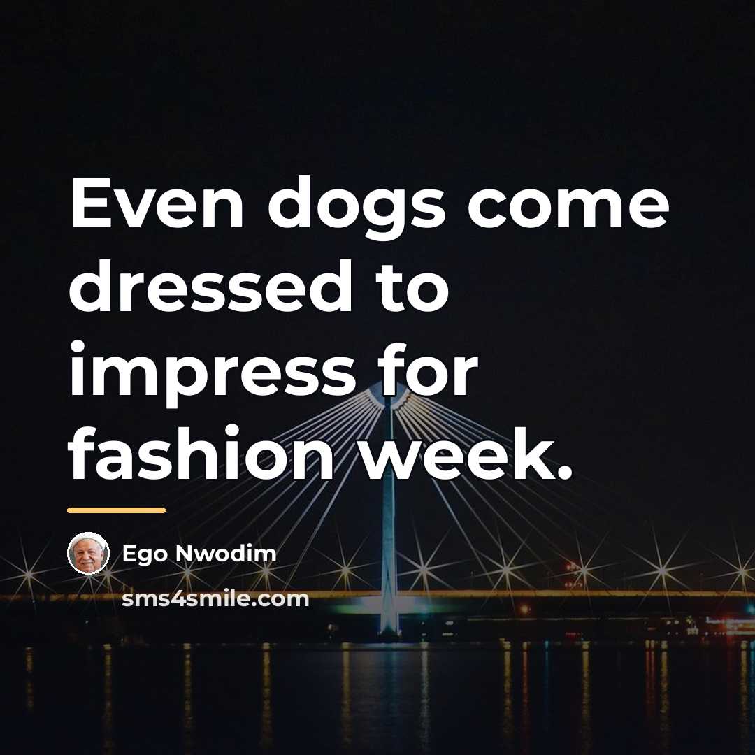 “Even dogs come dressed to impress for fashion week.…” quote by Ego Nwodim